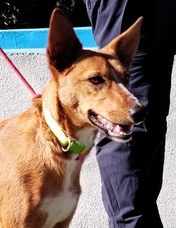 multimedia-foto92786-296-1