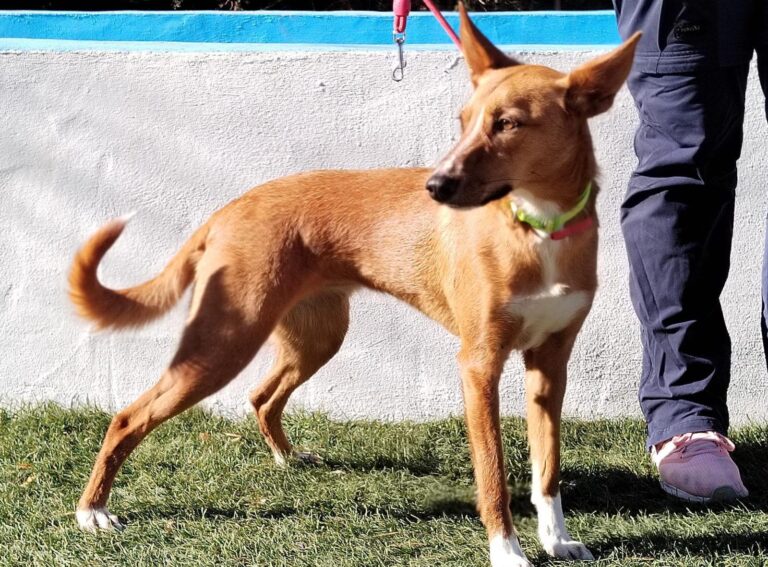 multimedia-foto92787-296-1