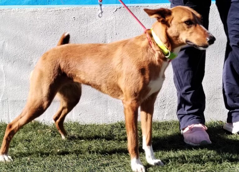 multimedia-foto92788-296-1