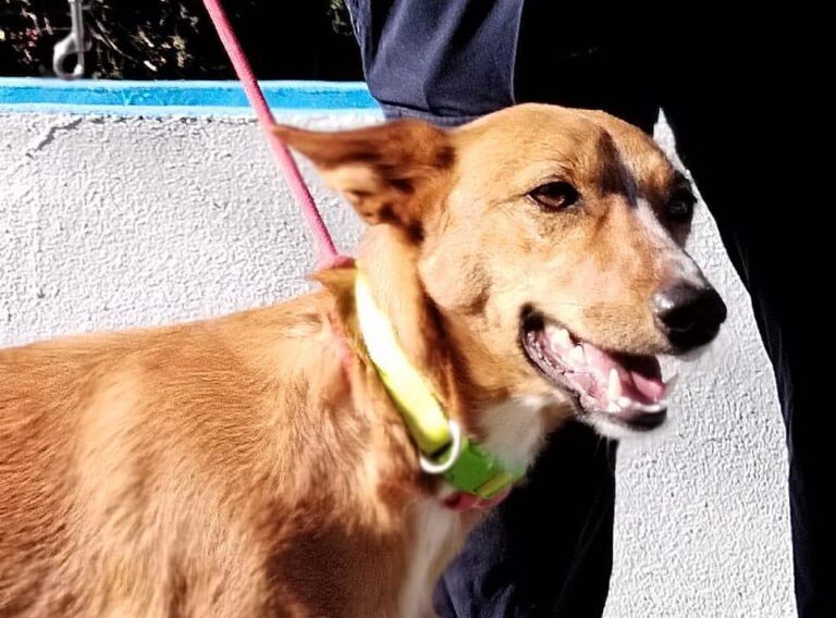 multimedia-foto92789-297-1