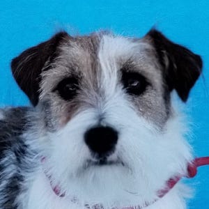 multimedia-foto92790-668-1