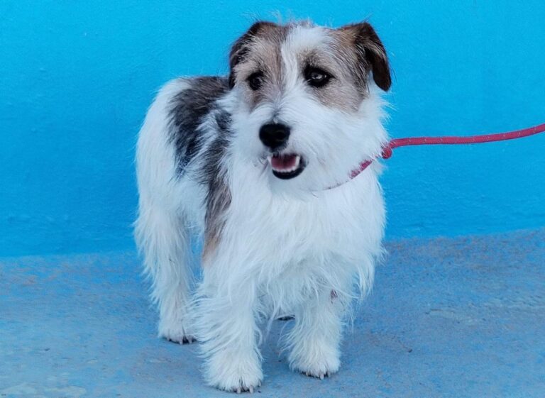 multimedia-foto92793-669-1