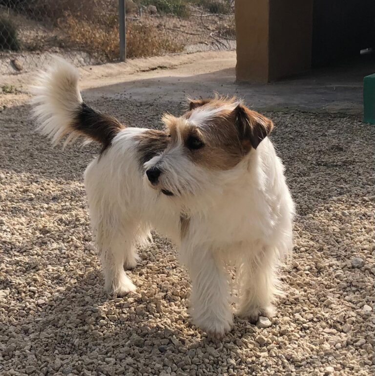 multimedia-foto92794-669-1