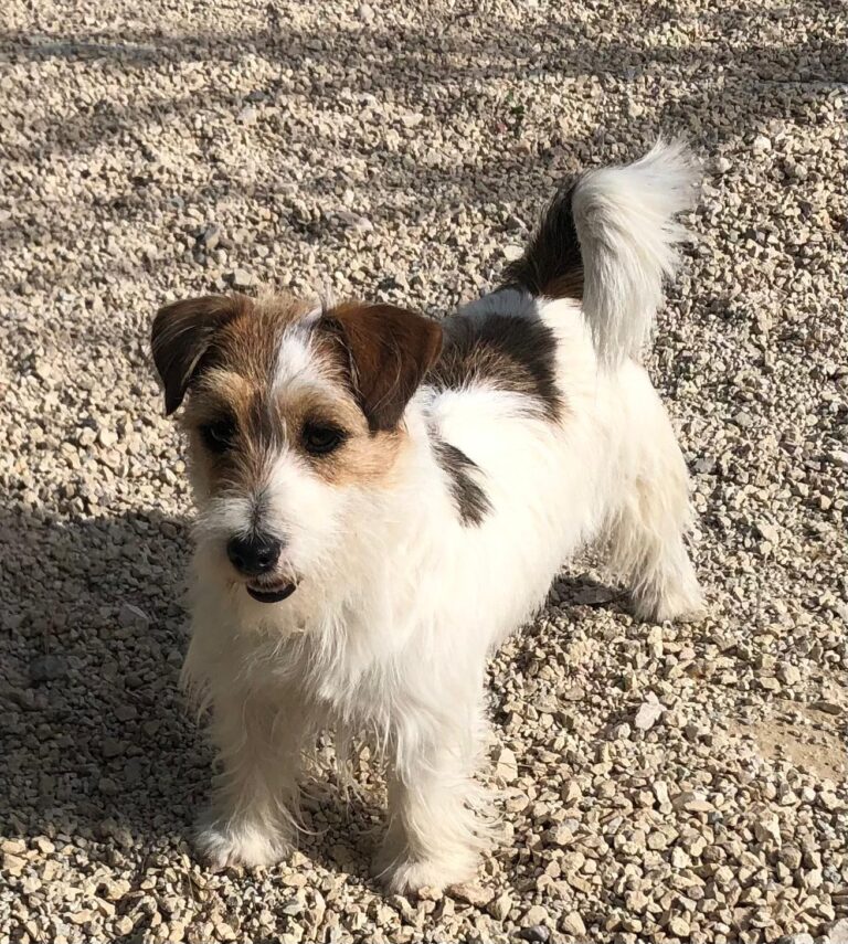 multimedia-foto92795-669-1