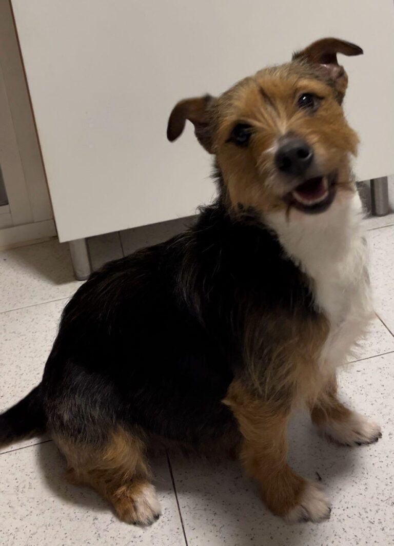 multimedia-foto92829-575-1