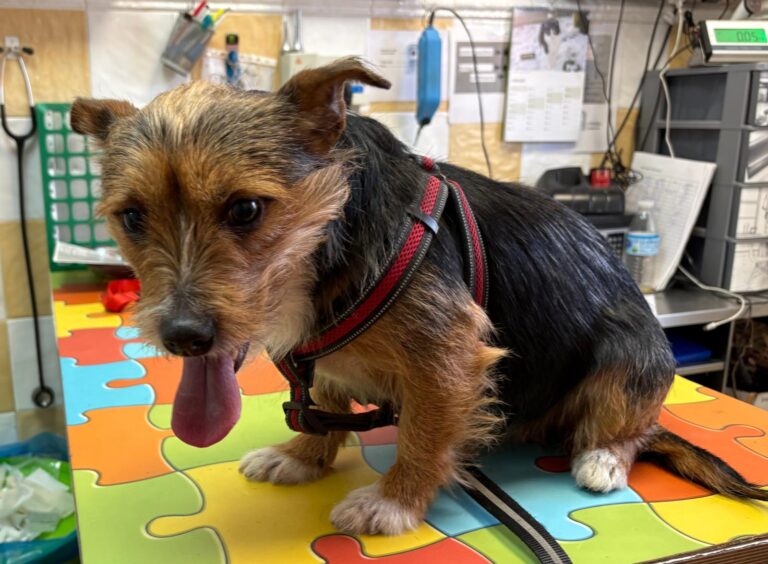 multimedia-foto92830-576-1