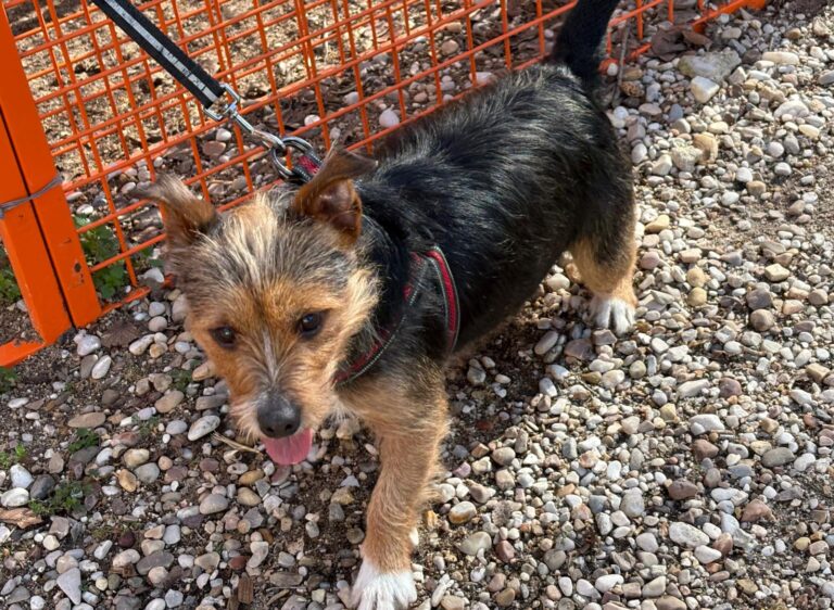 multimedia-foto92831-576-1