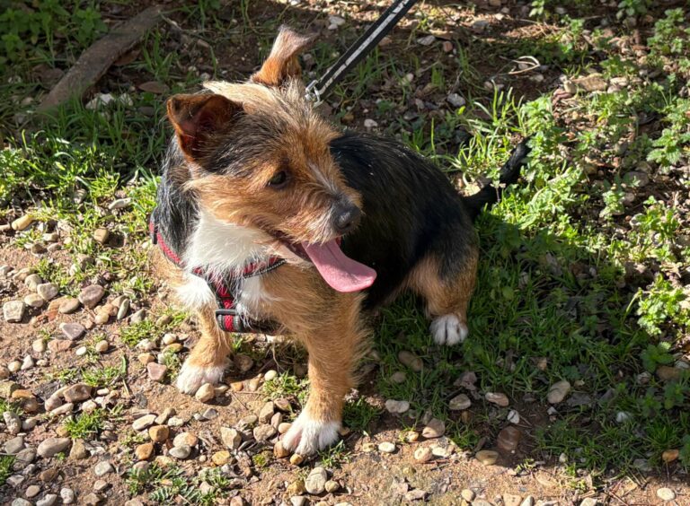 multimedia-foto92832-576-1