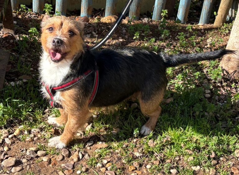 multimedia-foto92833-577-1