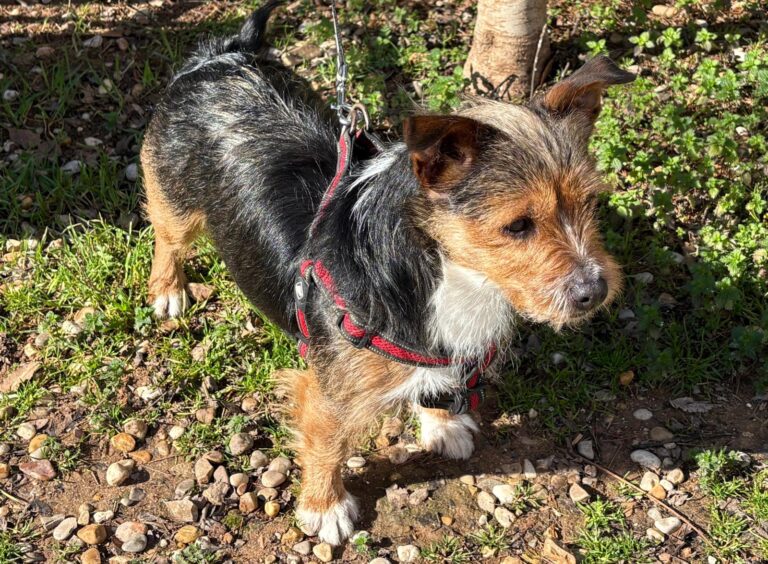 multimedia-foto92834-577-1