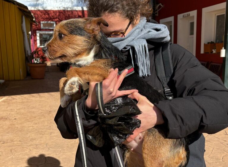 multimedia-foto92835-577-1