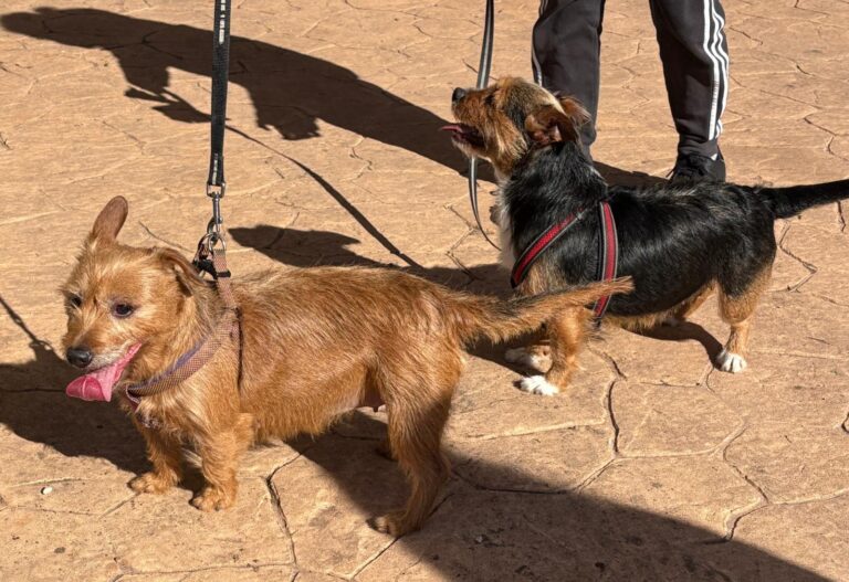 multimedia-foto92839-609-1