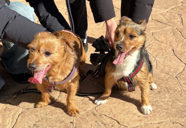 multimedia-foto92840-609-1