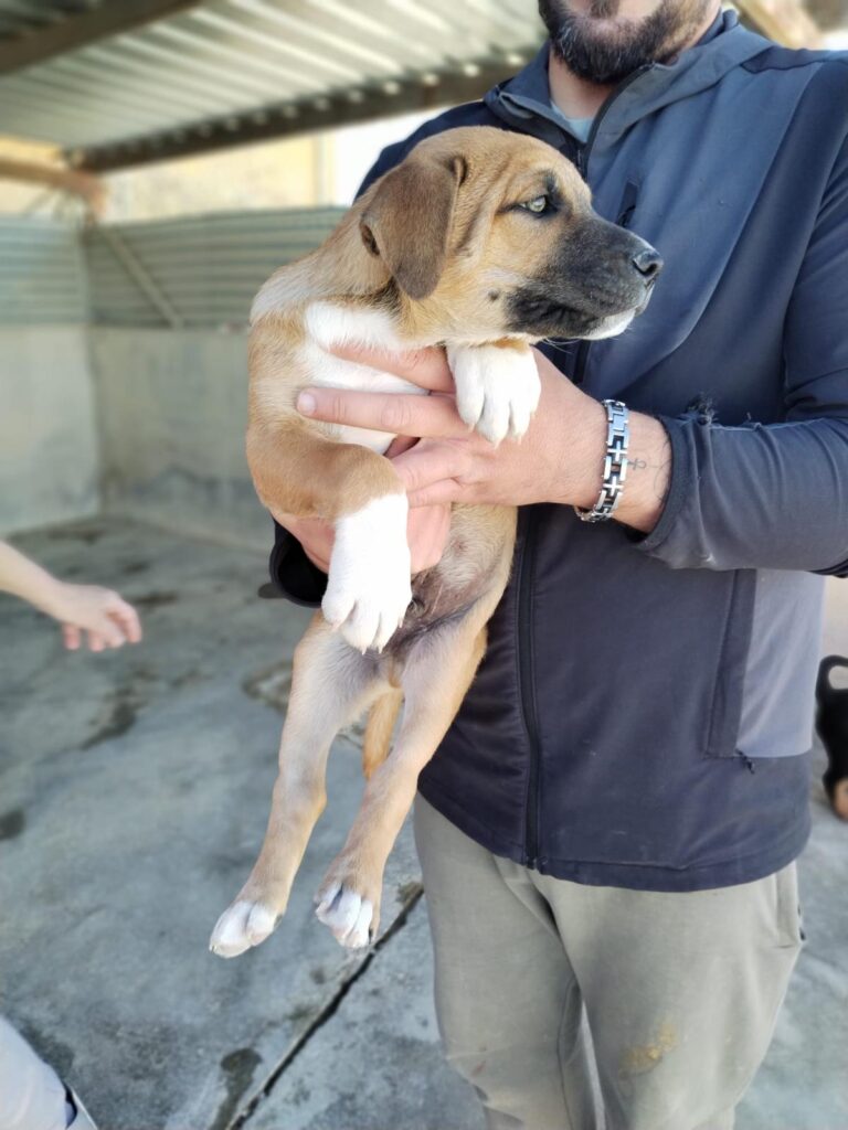 multimedia-foto92854-807-1