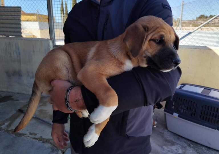 multimedia-foto92855-807-1