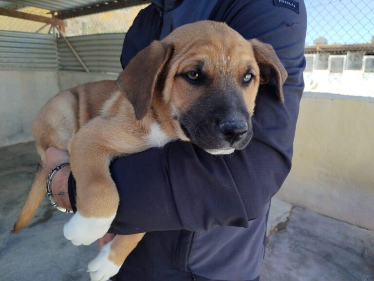 multimedia-foto92857-807-1