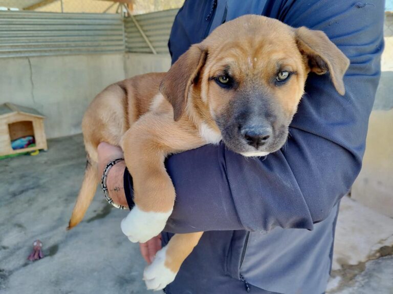 multimedia-foto92858-808-1