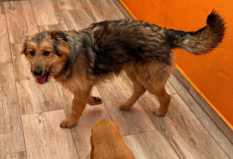 multimedia-foto92869-196-1