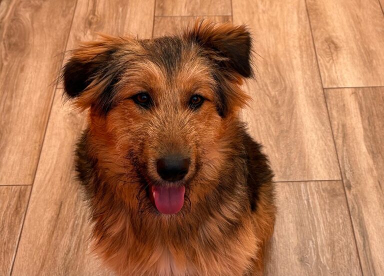 multimedia-foto92870-196-1