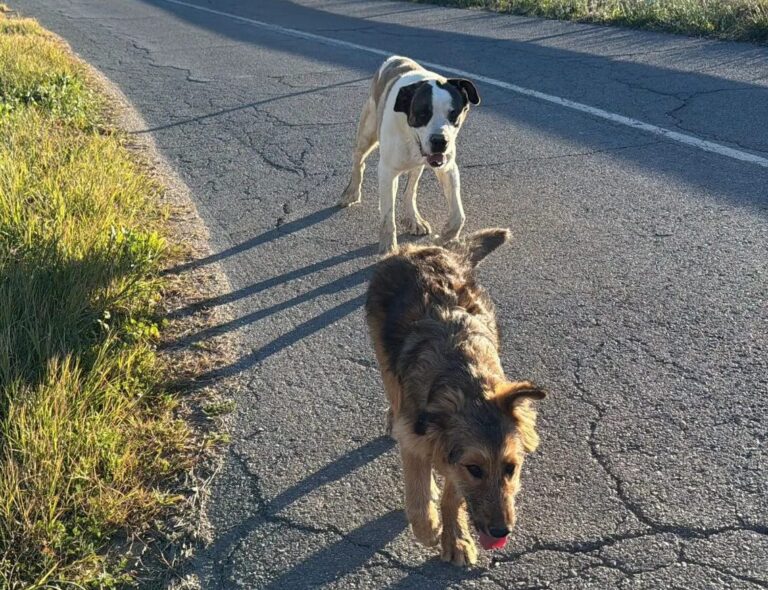 multimedia-foto92871-234-1