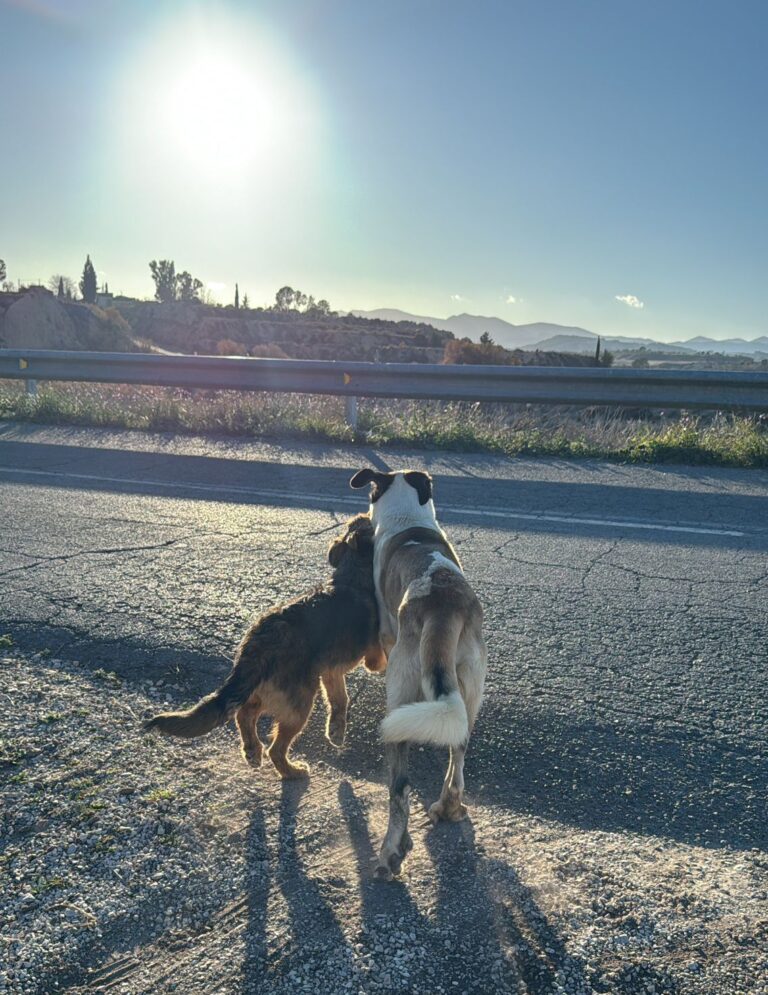 multimedia-foto92872-234-1