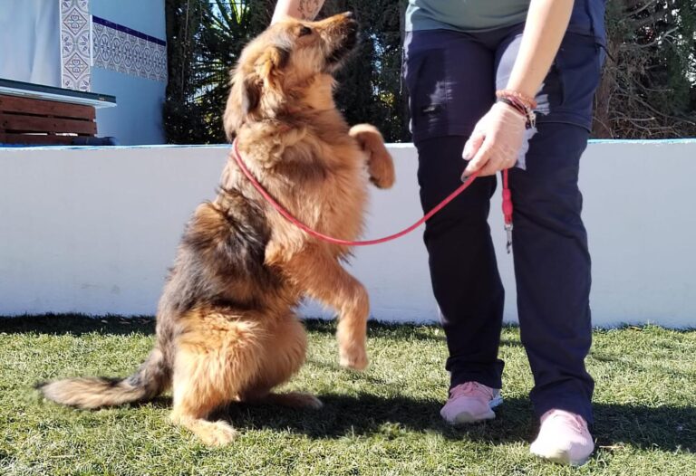 multimedia-foto92873-234-1