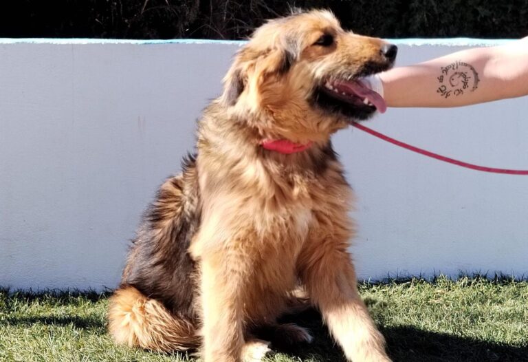 multimedia-foto92874-234-1