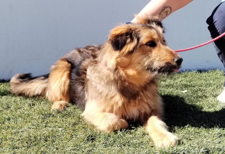 multimedia-foto92875-259-1