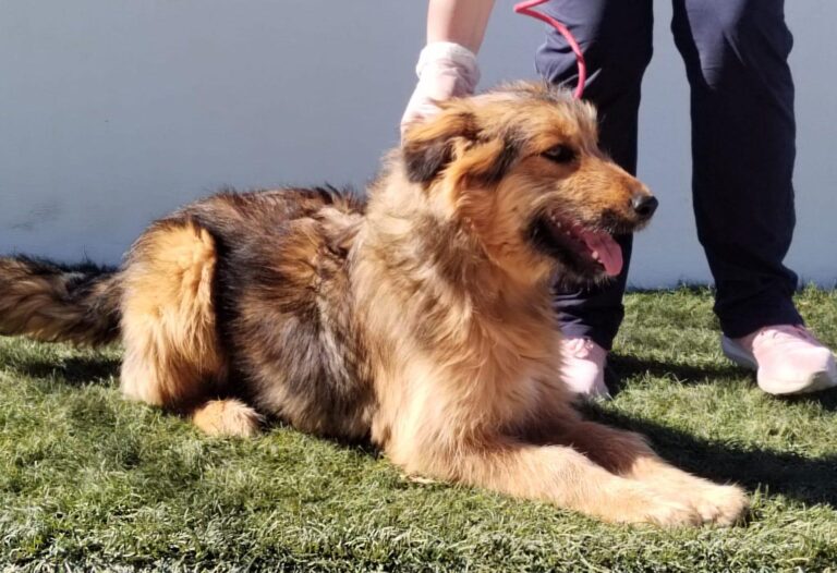 multimedia-foto92876-260-1