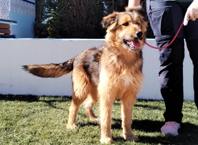 multimedia-foto92878-283-1