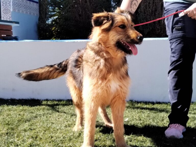 multimedia-foto92879-283-1