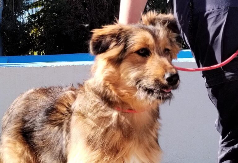 multimedia-foto92880-284-1