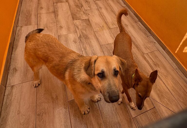 multimedia-foto92882-549-1