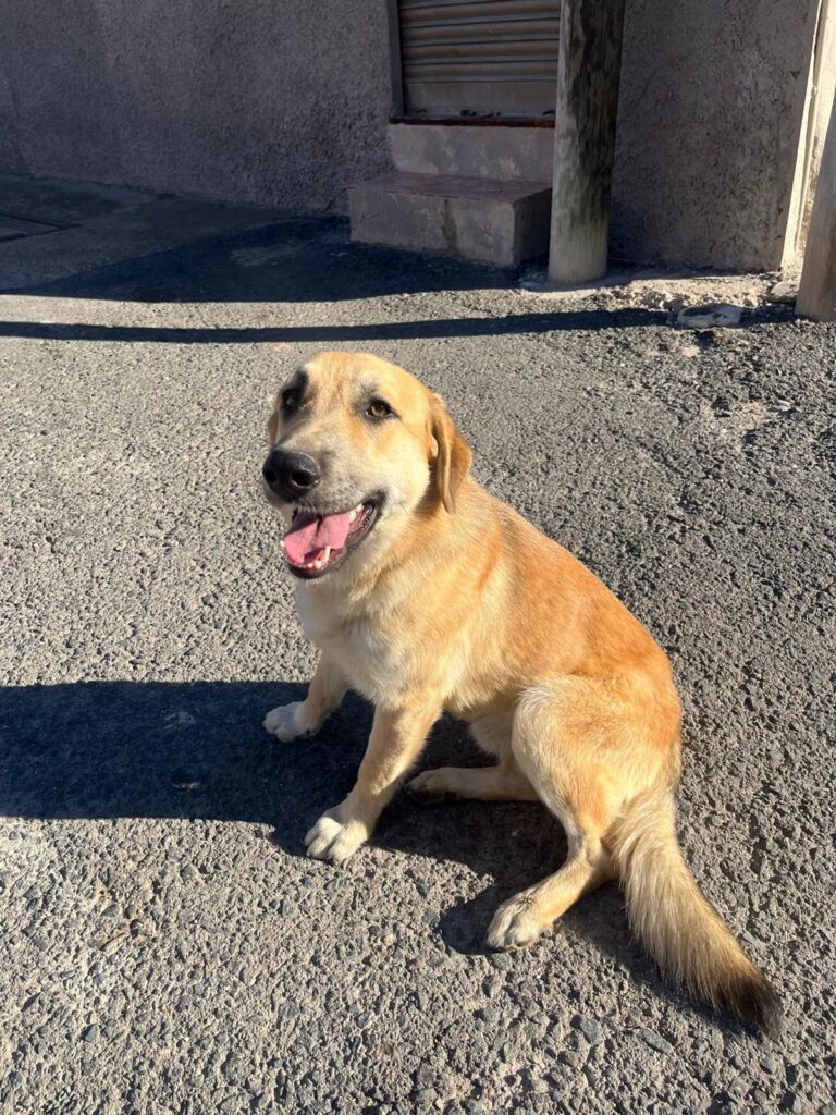 multimedia-foto92883-549-1