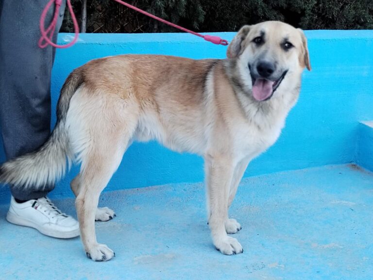 multimedia-foto92884-603-1