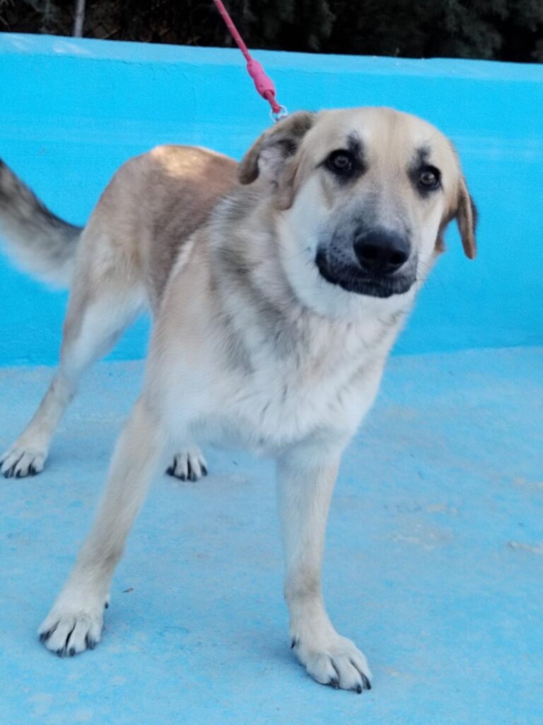 multimedia-foto92885-603-1