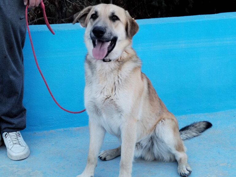 multimedia-foto92886-603-1