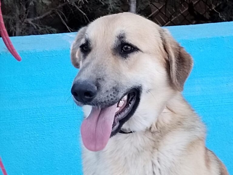 multimedia-foto92888-656-1