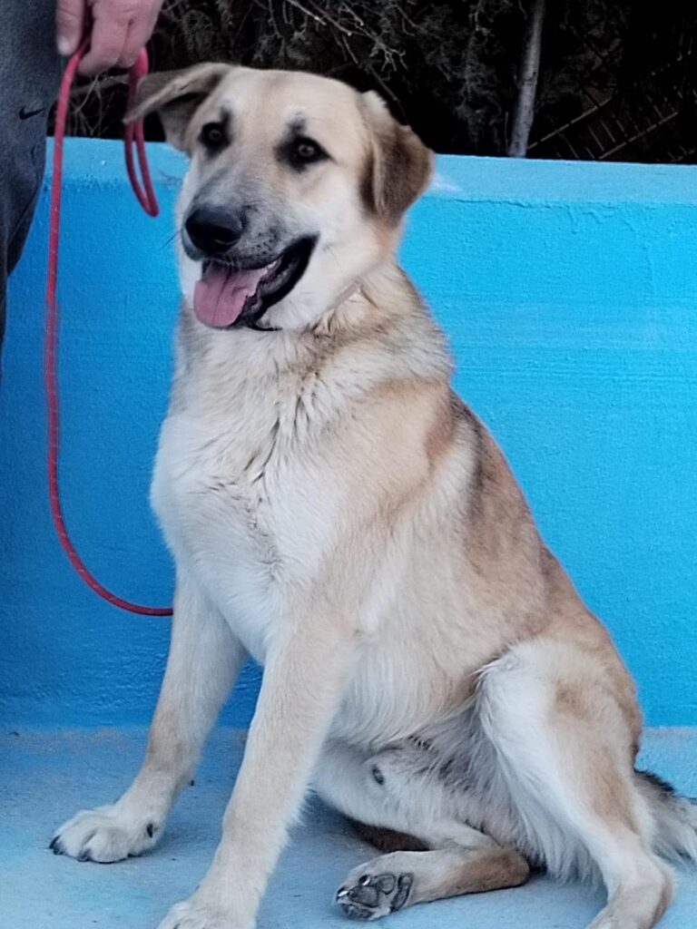 multimedia-foto92889-656-1