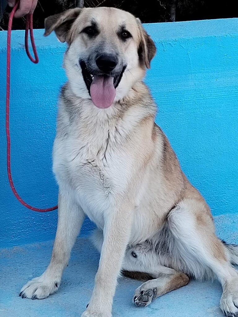 multimedia-foto92890-657-1