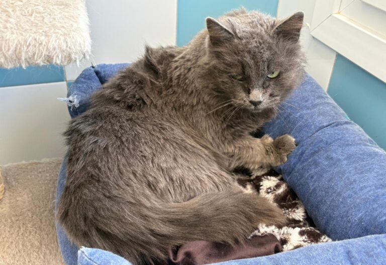 multimedia-foto92901-235-1