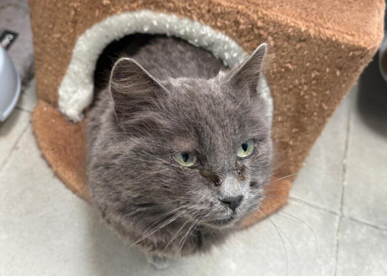 multimedia-foto92905-236-1