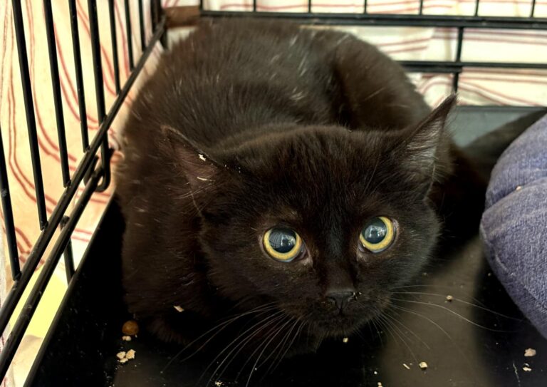 multimedia-foto92922-422-1