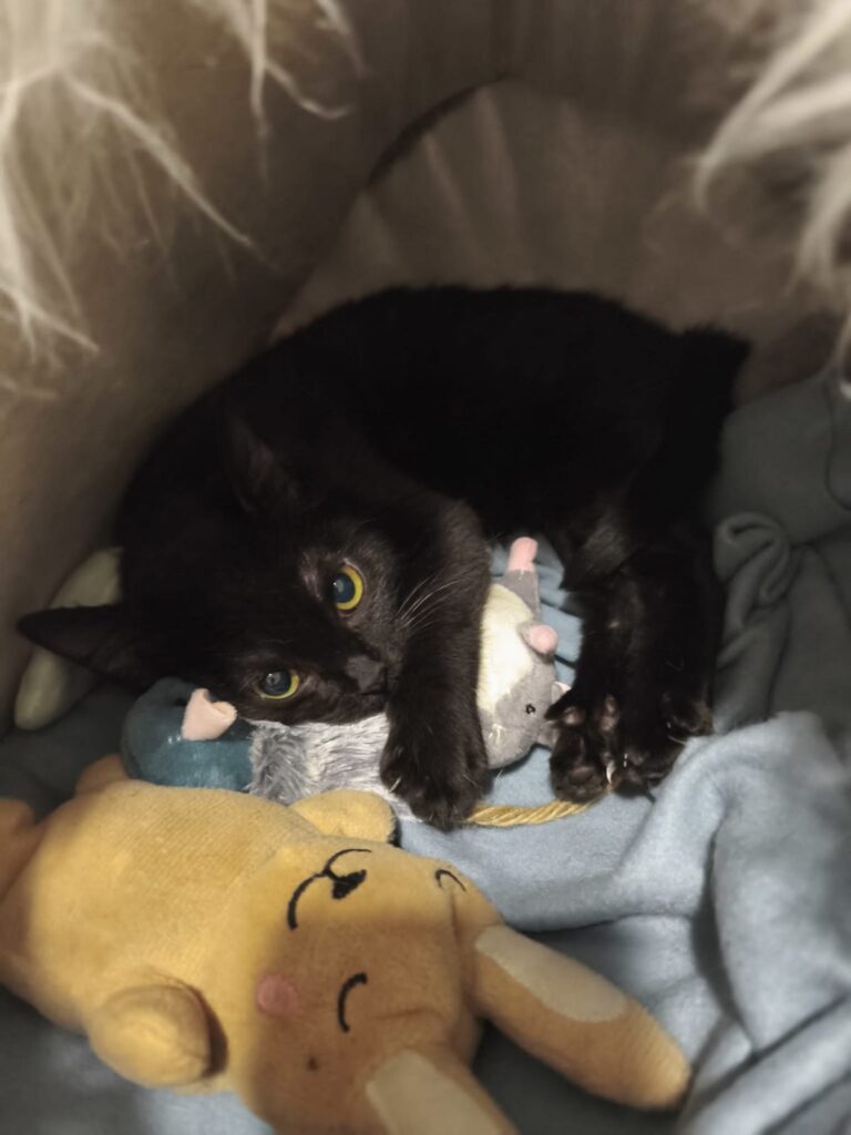 multimedia-foto92935-314-1