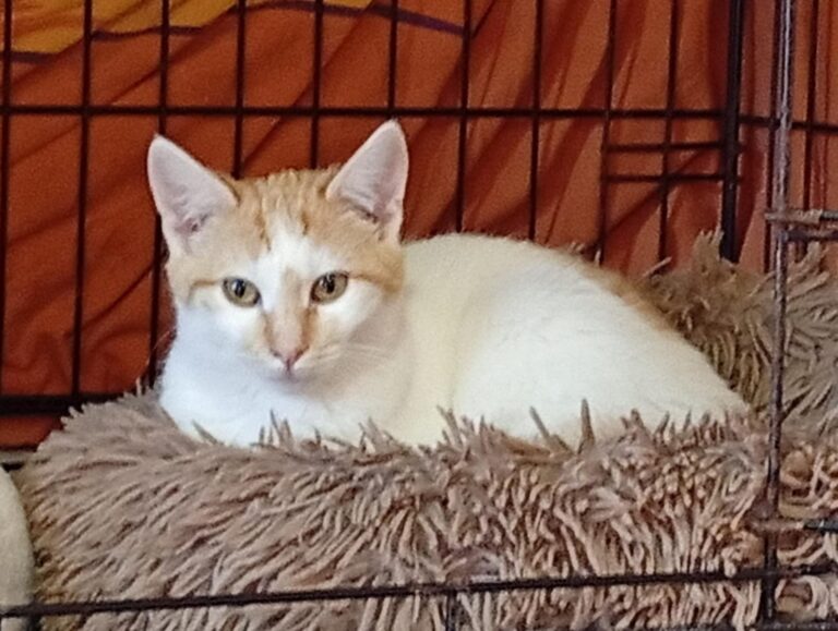 multimedia-foto92968-324-1