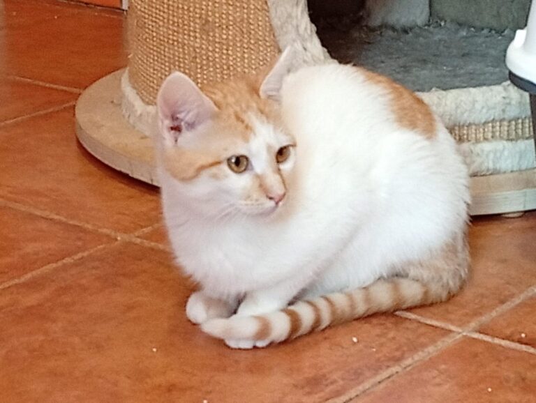 multimedia-foto92969-325-1