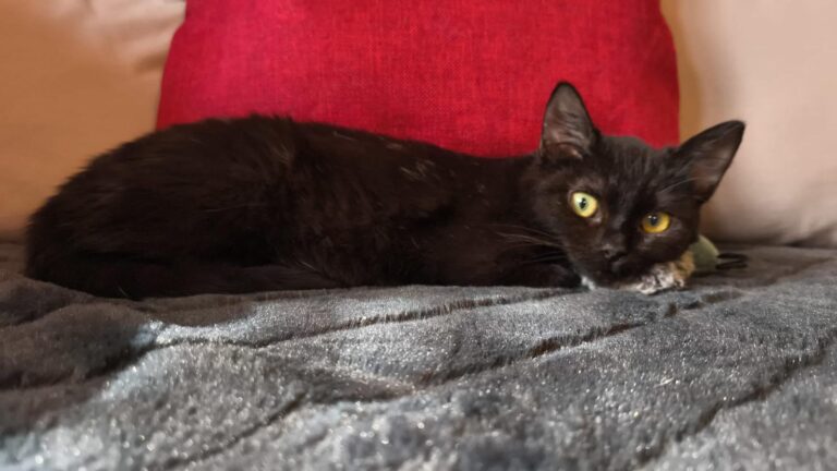 multimedia-foto92971-404-1