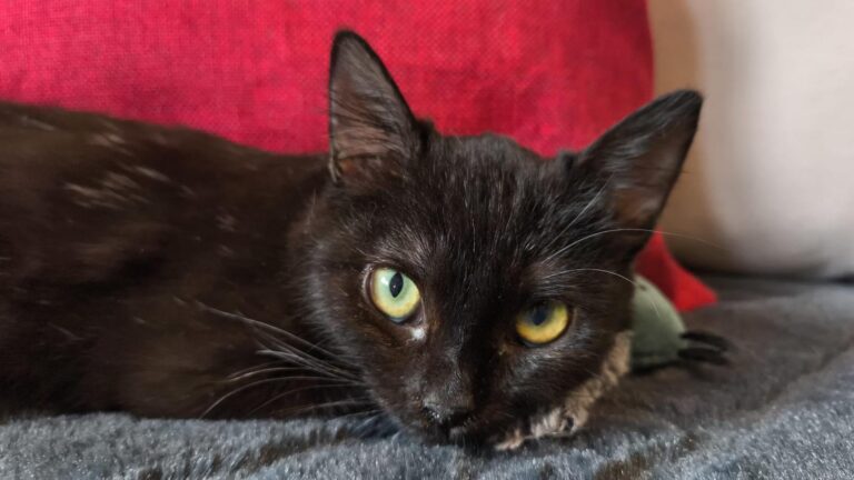 multimedia-foto92972-404-1