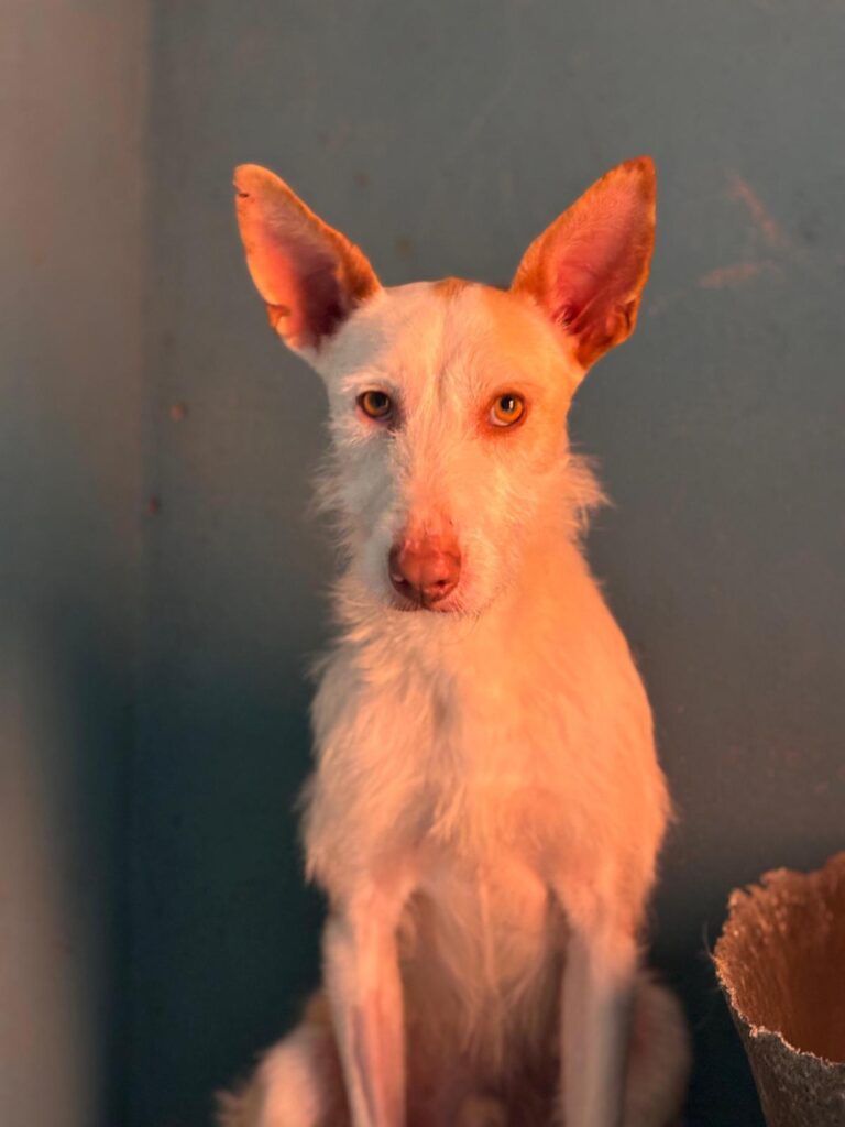 multimedia-foto92985-719-1