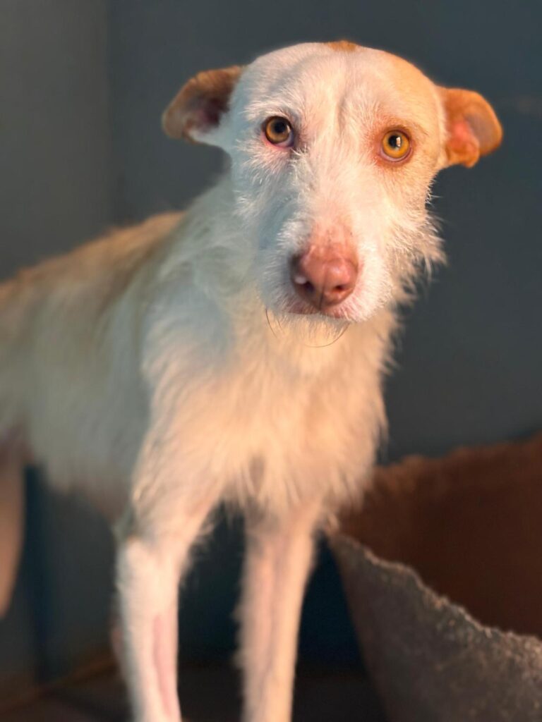 multimedia-foto92986-720-1